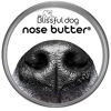 Picture of The Blissful Dog Every Dog Nose Butter, 2-Ounce