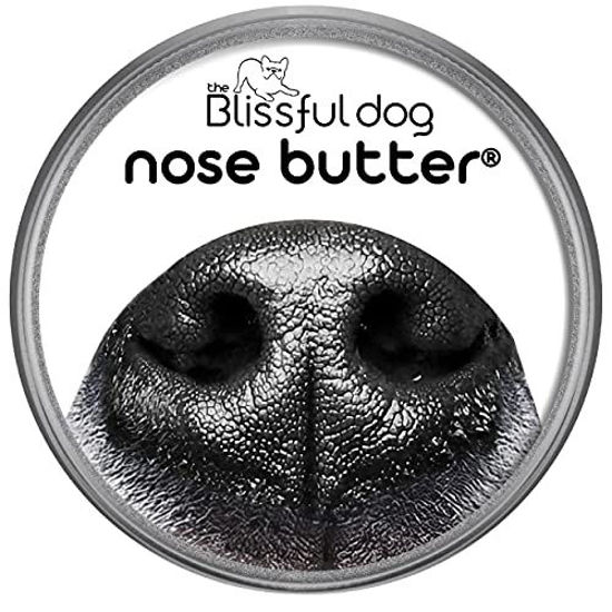 Picture of The Blissful Dog Every Dog Nose Butter, 2-Ounce