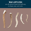 Picture of Amazon Brand - Wag Split Elk Antler, Naturally Shed, Small (Best for Dogs under 15 lbs)