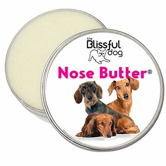 Picture of The Blissful Dog Dachshund Nose Butter, 1-Ounce