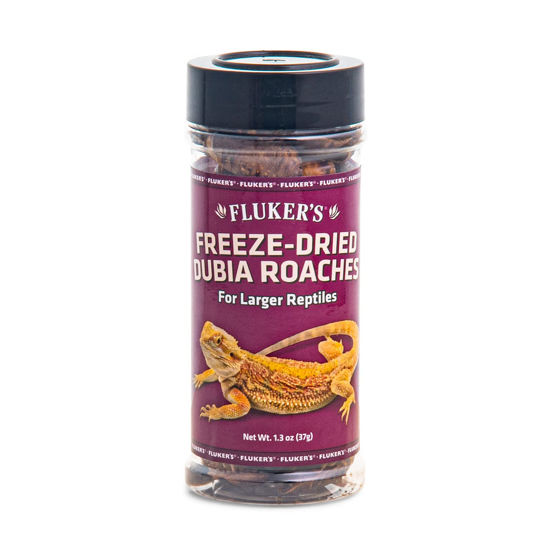 Picture of Fluker's Freeze Dried Dubia Roaches, Ideal for Lizards, Reptiles, Birds, Fish, Hedgehogs, 1.7 oz