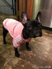 Picture of Idepet Soft Cotton Adidog Cloth Hoody for Dog, XL, Pink