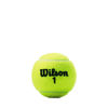 Picture of WILSON Championship Tennis Balls - Regular Duty, Single Can (3 Balls)