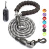 Picture of BAAPET 2/4/5/6 FT Dog Leash with Comfortable Padded Handle and Highly Reflective Threads for Small Medium and Large Dogs (6FT-1/2'', Grey)