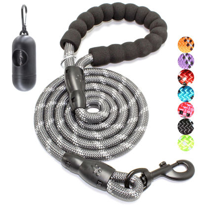 Picture of BAAPET 2/4/5/6 FT Dog Leash with Comfortable Padded Handle and Highly Reflective Threads for Small Medium and Large Dogs (6FT-1/2'', Grey)