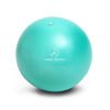 Picture of ProBody Pilates Ball Small Exercise Ball, 9 Inch Barre Ball, Mini Soft Yoga Ball, Workout Ball for Stability, Barre, Ab, Core, Physio and Physical Therapy Ball at Home Gym & Office (Aqua)