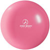 Picture of ProBody Pilates Ball Small Exercise Ball, 9 Inch Barre Ball, Mini Soft Yoga Ball, Workout Ball for Stability, Barre, Ab, Core, Physio and Physical Therapy Ball at Home Gym & Office (Pink)