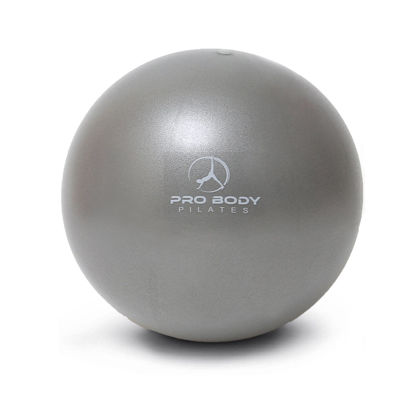 Picture of ProBody Pilates Ball Small Exercise Ball, 9 Inch Barre Ball, Mini Soft Yoga Ball, Workout Ball for Stability, Barre, Ab, Core, Physio and Physical Therapy Ball at Home Gym & Office (Silver)