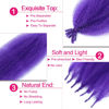 Picture of Afro Twist Hair 16 Inch 3 Packs, Springy Afro Twist Hair Pre Fluffed Spring Twist Hair Pre Stretched Wrapping Hair for Soft Locs Hair Extensions (16 Inch (Pack of 3), Purple#)