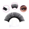 Picture of Eyelash Extension Supplies 8-30mm Easy Blooming Volume Lash Extensions C D DD L Curl Rapid Flowering Easy Fan Volume Lashes (0.03-DD, 8-14mm)