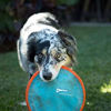 Picture of Chuckit Paraflight Flying Disc Dog Toy, Large (9.75"), Orange And Blue