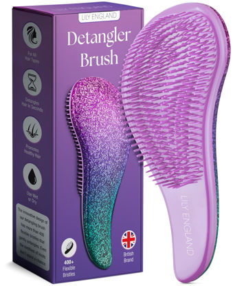 Picture of Lily England Detangler Brush for Curly Hair, Thick, Straight & Natural Hair - Gentle Detangling Hair Brush for Women, Kids & Toddlers with Flexible Bristles - Hairbrush for Wet & Dry Hair, Purple