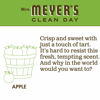 Picture of Mrs. Meyer's Clean Day Liquid Hand Soap, Cruelty Free and Biodegradable Formula, Apple Scent, 12.5 oz