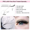 Picture of Premade Fans Eyelash Extensions 7D-D-0.07-9-15 Short Stem Premade Volume Eyelash Extensions 3D 5D 7D Volume Lash Extensions .07 .10 Premade Lash Fans C D Curl 9-15 MIX (7D-D-0.07,9-15mm)