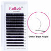 Picture of Colored Lash Extensions 0.07 D Curl Lash Extensions 8-14mm Mixed Tray Black Purple Ombre Eyelash Extensions Silk Volume Lash Extensions (0.07D, 8-14mm)