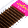 Picture of TDANCE Dark Brown Lash Extensions Colored Lash Extensions Classic Lash Extensions 0.07mm C/D Curl Premium Brown Eyelash Extensions Salon Use (Dark Brown,C-0.07,10-17mm)