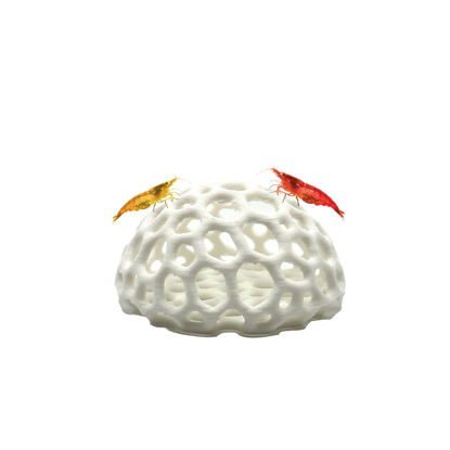 Picture of Shrimp Dome Hide - Aquarium Cherry Shrimp Hide - CTWPets Cherry Shimpe Hide (White)