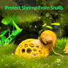 Picture of Shrimp Dome Hide - Aquarium Cherry Shrimp Hide - CTWPets Cherry Shimpe Hide (White)