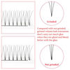 Picture of Premade Fans Volume Eyelash Extensions 3D|4D|5D|6D Thickness 0.07/0.10mm Curl C/D 8mm~18mm 3D 0.10 D 14mm Short Stem Russian Premade Lash Extension Fans (3D 0.10 D 14mm)