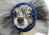 Picture of Happy Hoodie The Original Dog & Cat Calming Band, Anxiety Relief/Noise Protection-Grooming-Thunder-Fireworks (XS, Blue)