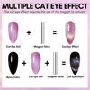 Picture of Makartt Cat Eye Gel Nail Polish Universal Rainbow Holographic Gel Polish Cupcake Dream Sparkly Glitter Unique Magnetic Effect Nail Gel for DIY Nail Art UV LED Soak Off Manicure 10ml