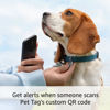 Picture of Ring Pet Tag | Easy-to-use tag with QR code | Real-time scan alerts | Shareable Pet Profile | No subscription or fees