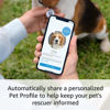 Picture of Ring Pet Tag | Easy-to-use tag with QR code | Real-time scan alerts | Shareable Pet Profile | No subscription or fees