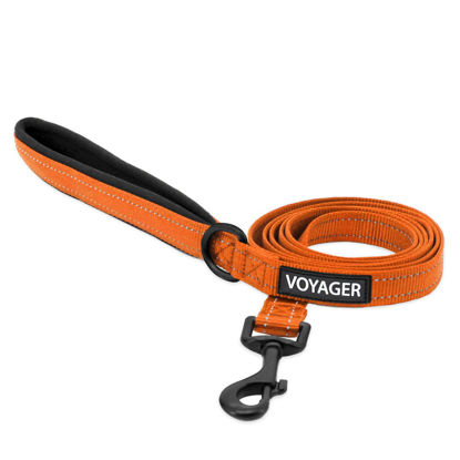 Picture of Voyager Reflective Dog Leash with Neoprene Handle, 5ft Long, Supports Small, Medium, and Large Breed Puppies, Cute and Heavy Duty for Walking, Running, and Training - Orange (Leash), L