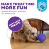 Picture of Outward Hound Lil' Snoop Interactive Treat Dispensing Dog Toy, Small, Purple