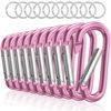 Picture of Sprookber 3" Aluminum Carabiner D Ring, Caribeener Clips, Spring Snap Hook for Keychain Clip, Set of 10 (Pink)