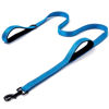 Picture of Heavy Duty Dog Leash - 2 Handles by Padded Traffic Handle for Extra Control, 6foot Long - Perfect for Medium to Large Dogs (Dark Blue, 6 ft)