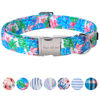 Picture of Unique style paws Dog Collar Metal Buckle Collar Gift for Small Medium Large Boys Girls Dogs