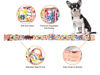 Picture of Unique style paws Dog Collar Metal Buckle Collar Gift for Small Medium Large Boys Girls Dogs