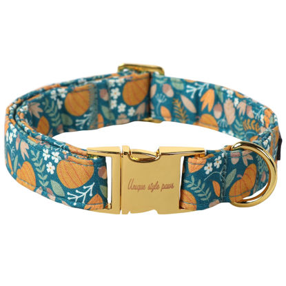 Picture of Unique style paws Dog Collar Metal Buckle Collar Gift for Small Medium Large Boys Girls Dogs