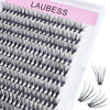 Picture of Cluster Eyelash Extensions LAUBESS Eyelash Clusters 20D Lash Clusters DIY Lash Extension Individual Lashes Natural Cluster Lashes Eyelash Extension at Home (20D-0.07D-15mm)