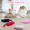 Picture of Legendog 5Pcs Bite Resistant Catnip Toy for Cats,Catnip Filled Cartoon Mice Cat Teething Chew Toy