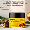 Picture of Botanic Hearth Batana Oil for Hair Growth - Batana Butter 3.5 fl oz - Deeply Nourishing & Revitalizing Hair & Skin Care