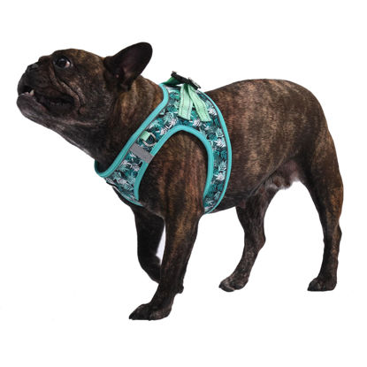 Picture of AMTOR Dog Harness with Leash Set,No Pull Adjustable Reflective Puppy Harness with Padded Vest for Extra-Small/Small Medium Large Dogs and Cats(Green Bamboo,XXS)