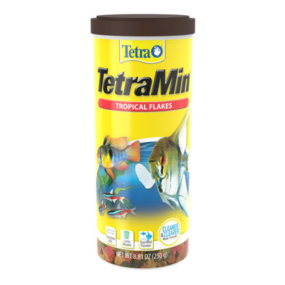 Picture of TetraMin Nutritionally Balanced Tropical Flake Food for Tropical Fish, 8.81 oz