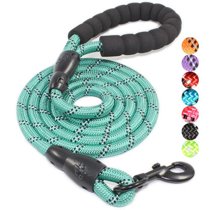 Picture of BAAPET 2/4/5/6 FT Dog Leash with Comfortable Padded Handle and Highly Reflective Threads for Small Medium and Large Dogs (5FT-1/2'', Turquoise)