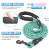 Picture of BAAPET 2/4/5/6 FT Dog Leash with Comfortable Padded Handle and Highly Reflective Threads for Small Medium and Large Dogs (5FT-1/2'', Turquoise)