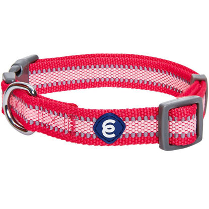 Picture of Blueberry Pet Essentials Reflective Back to Basics Adjustable Dog Collar, French Pink, Small, Neck 12"-16"