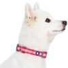 Picture of Blueberry Pet Essentials Reflective Back to Basics Adjustable Dog Collar, French Pink, Small, Neck 12"-16"