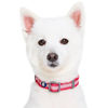 Picture of Blueberry Pet Essentials Reflective Back to Basics Adjustable Dog Collar, French Pink, Small, Neck 12"-16"