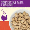 Picture of Stella & Chewy's Freeze-Dried Raw Tummy Ticklin' Turkey Dinner Morsels Cat Food, 3.5 oz. Bag, Model:CAT-FDT-3.5