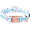 Picture of Unique style paws Dog Collar Metal Buckle Collar Gift for Small Medium Large Boys Girls Dogs