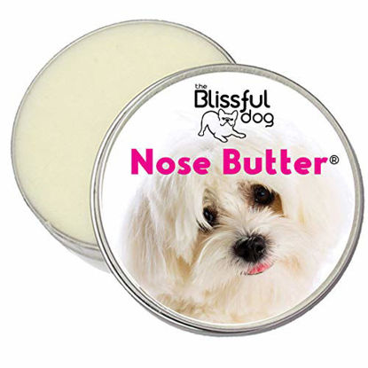 Picture of The Blissful Dog Coton De Tulear Nose Butter, 1-Ounce