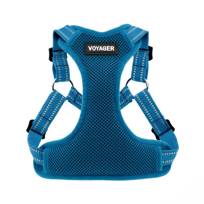 Picture of Best Pet Supplies Voyager Adjustable Dog Harness with Reflective Stripes for Walking, Jogging, Heavy-Duty Full Body No Pull Vest with Leash D-Ring, Breathable All-Weather - Harness (Turquoise), M