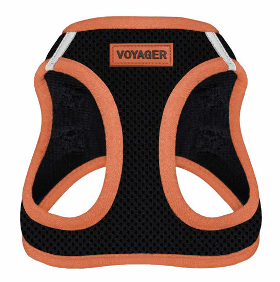 Picture of Voyager Step-In Air Dog Harness - All Weather Mesh Step in Vest Harness for Small and Medium Dogs by Best Pet Supplies - Orange, X-Small