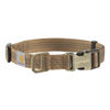 Picture of Carhartt Dog Collar Brown/Brushed Brass, Medium